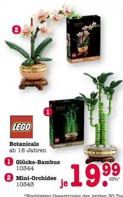 E-Center Lego glücks-bambus oder mini-orchidee Angebot
