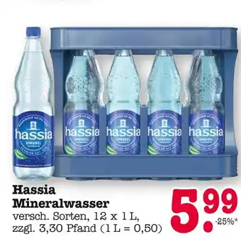 E-Center Hassia mineralwasser Angebot
