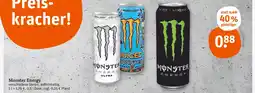 tegut Monster energy monster energy Angebot