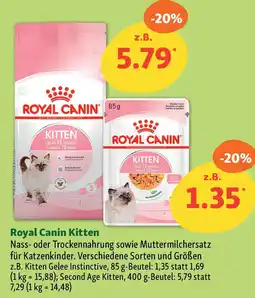 Fressnapf Royal Canin Kitten Angebot