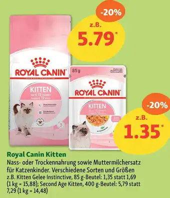 Fressnapf Royal Canin Kitten Angebot