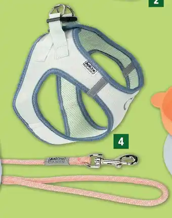Fressnapf Anione Pepe & Kitty Westengeschirr oder Führleine Angebot