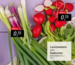 KONSUM Lauchzwiebeln oder Radieschen Angebot