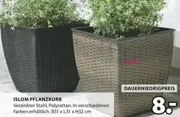 Jysk Islom pflanzkorb Angebot