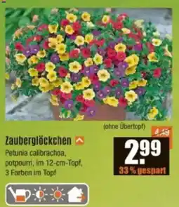 V Baumarkt Zauberglöckchen Angebot