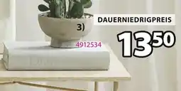Jysk Gillian kunstpflanze Angebot
