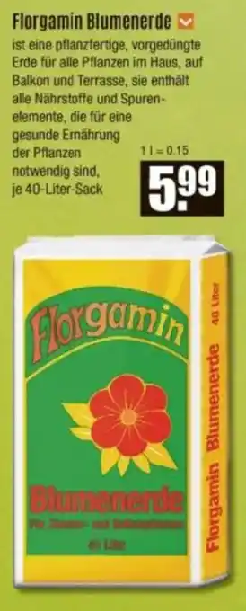 V Baumarkt Florgamin Blumenerde Angebot