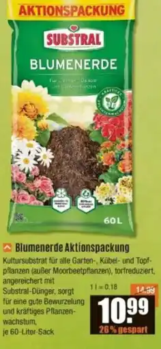V Baumarkt SUBSTRAL Blumenerde Aktionspackung Angebot
