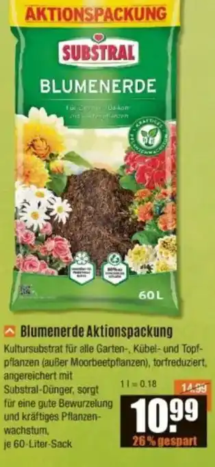V Baumarkt SUBSTRAL Blumenerde Aktionspackung Angebot