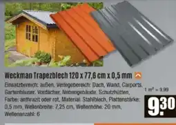V Baumarkt Weckman Trapezblech 120 x 77,6 cm x 0,5 mm Angebot