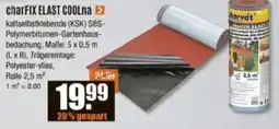 V Baumarkt charFIX ELAST COOLna Angebot