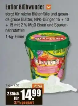 V Baumarkt Euflor Blühwunder Angebot