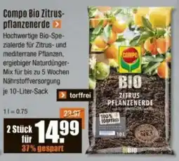 V Baumarkt Compo Bio Zitruspflanzenerde Angebot