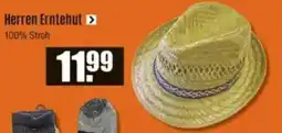 V Baumarkt Herren Erntehut Angebot
