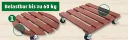 PENNY Universal-und-Pflanzen-Roller Angebot