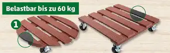 PENNY Universal-und-Pflanzen-Roller Angebot