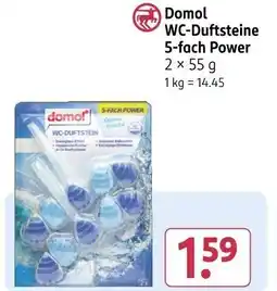 Rossmann Domol WC-Duftsteine 5-fach Power Angebot