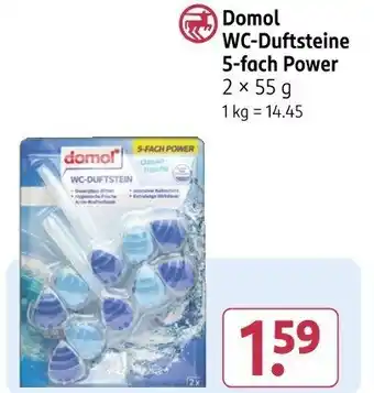 Rossmann Domol WC-Duftsteine 5-fach Power Angebot
