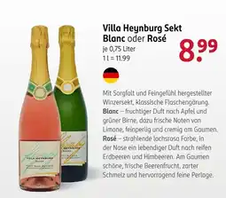 Rossmann Villa Heynburg Sekt Blanc oder Rosé Angebot