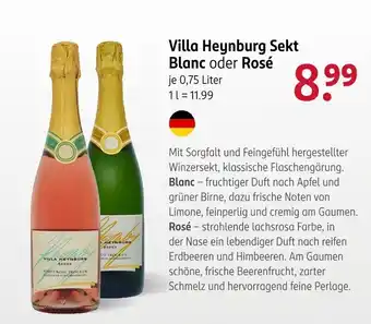 Rossmann Villa Heynburg Sekt Blanc oder Rosé Angebot