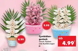 Kaufland Cymbidien- gesteck Angebot