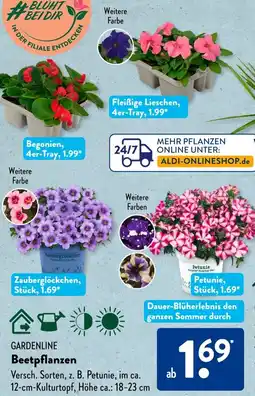 Aldi Süd GARDENLINE Beetpflanzen Angebot