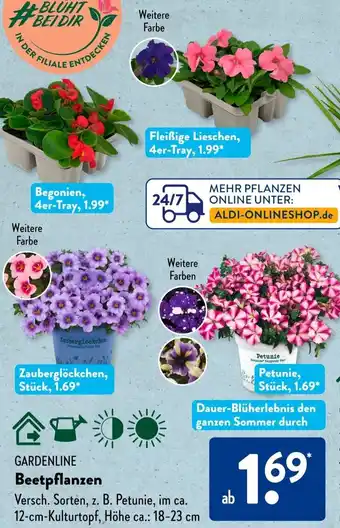 Aldi Süd GARDENLINE Beetpflanzen Angebot