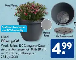 Aldi Süd BELAVI Pflanzgefäß Angebot
