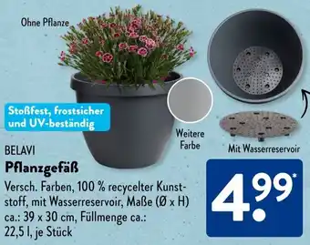 Aldi Süd BELAVI Pflanzgefäß Angebot