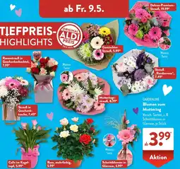 Aldi Süd GARDENLINE Blumen zum Muttertag Angebot