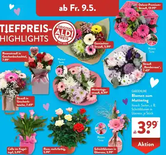 Aldi Süd GARDENLINE Blumen zum Muttertag Angebot