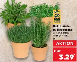Kaufland Ital. Kräuter in Terrakotta Angebot