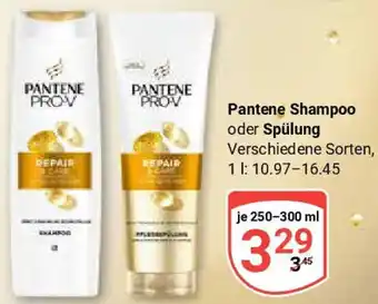 Globus Pantene Shampoo oder Spülung Angebot
