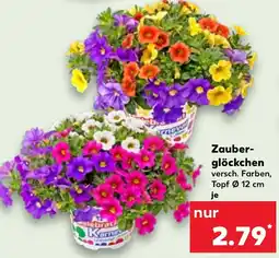 Kaufland Zauberglöckchen Angebot