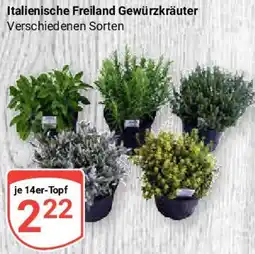 Globus Italienische Freiland Gewürzkräuter Angebot