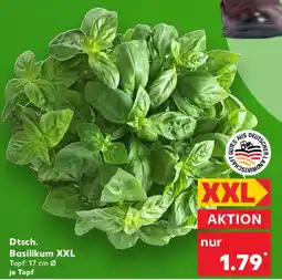 Kaufland Dtsch. Basilikum XXL Angebot