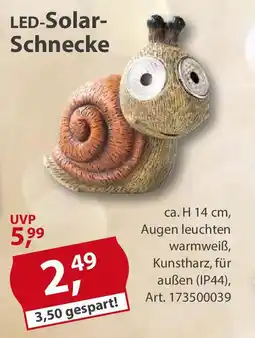 Sonderpreis Baumarkt LED-Solar- Schnecke Angebot