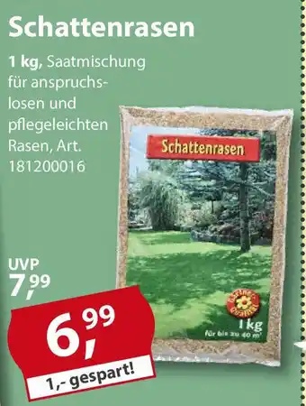 Sonderpreis Baumarkt Schattenrasen Angebot