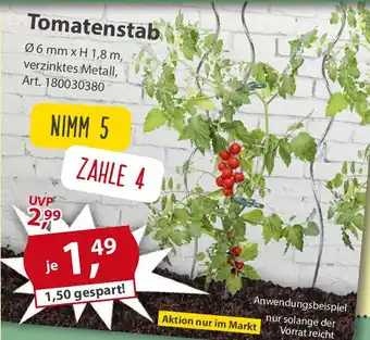 Sonderpreis Baumarkt Tomatenstab Angebot