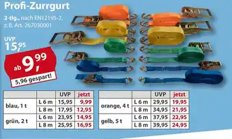 Sonderpreis Baumarkt Profi-Zurrgurt Angebot