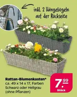 NETTO Rattan-Blumenkasten Angebot