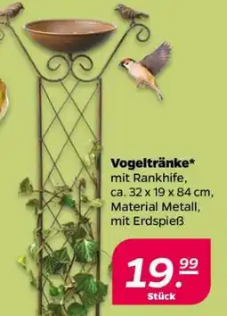 NETTO Vogeltränke Angebot