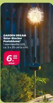 NETTO GARDEN DREAM Solar-Stecker Pusteblume Angebot