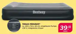 NETTO Velours-Gästebett Angebot