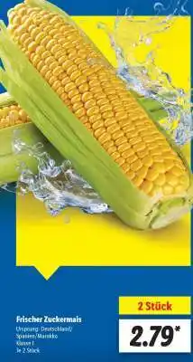 Lidl Frischer Zuckermais Angebot