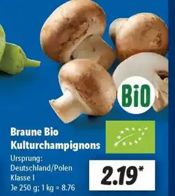 Lidl Braune Bio Kulturchampignons Angebot