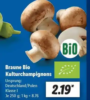 Lidl Braune Bio Kulturchampignons Angebot