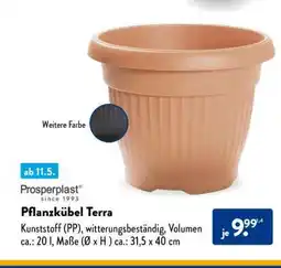 Aldi Süd Pflanzkübel Terra Angebot
