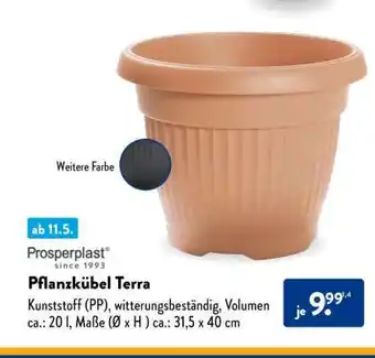 Aldi Süd Pflanzkübel Terra Angebot