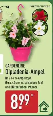Aldi Nord GARDENLINE Dipladenia-Ampel Angebot